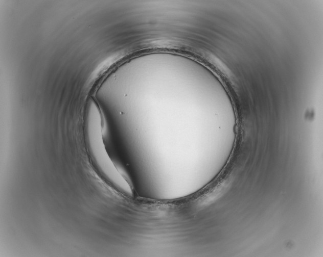 X0000090490930200708102215