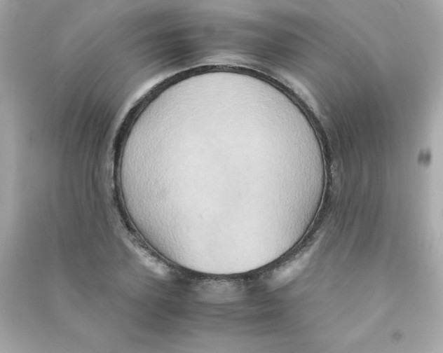 X0000090490931200708102215