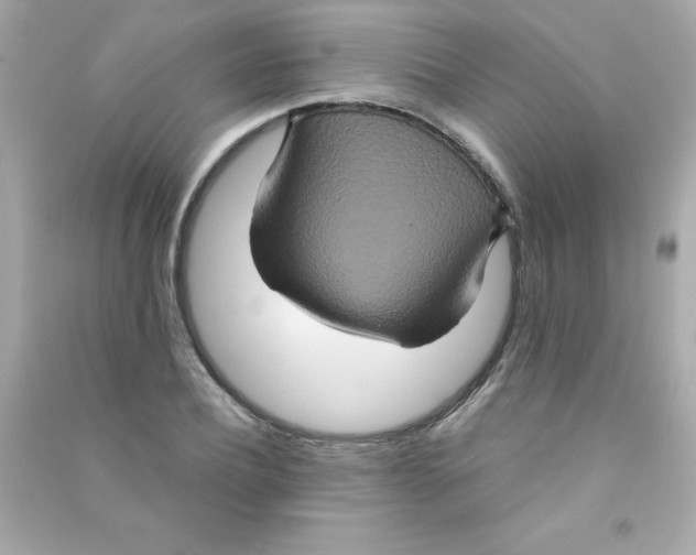 X0000090490932200708102215