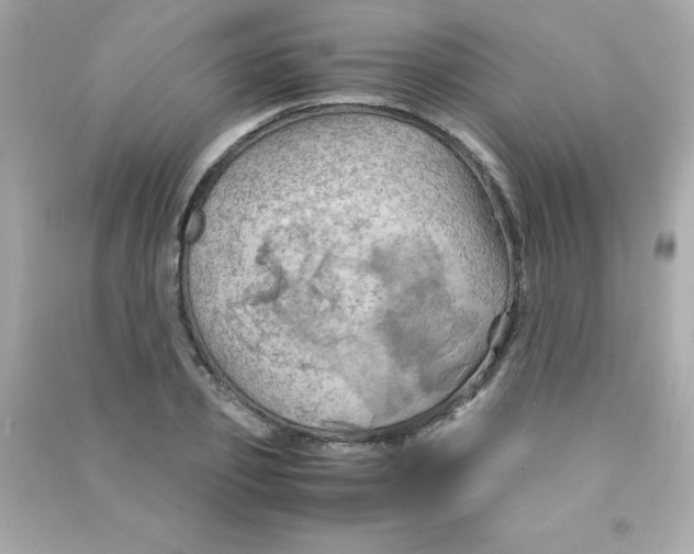 X0000090490933200708102215