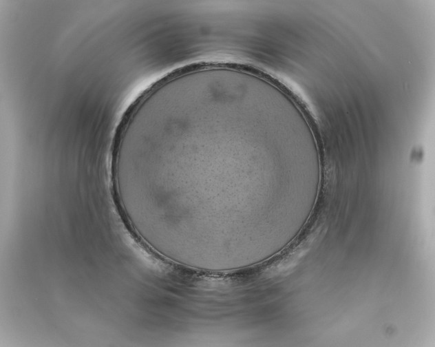 X0000090490935200708102215