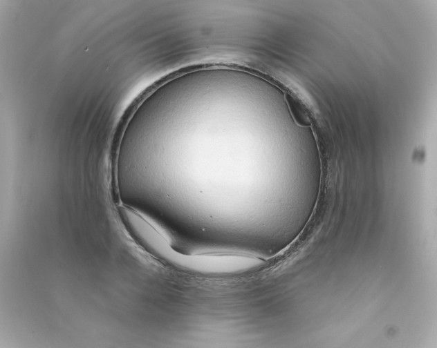 X0000090490936200708102215