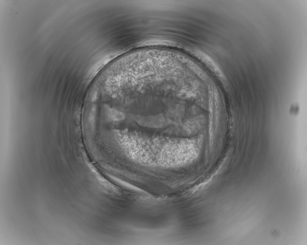 X0000090490937200708102215