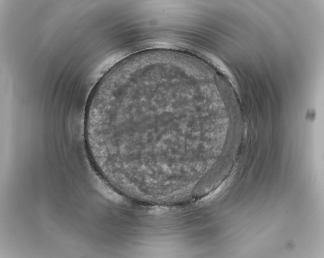 X0000090490938200708102215