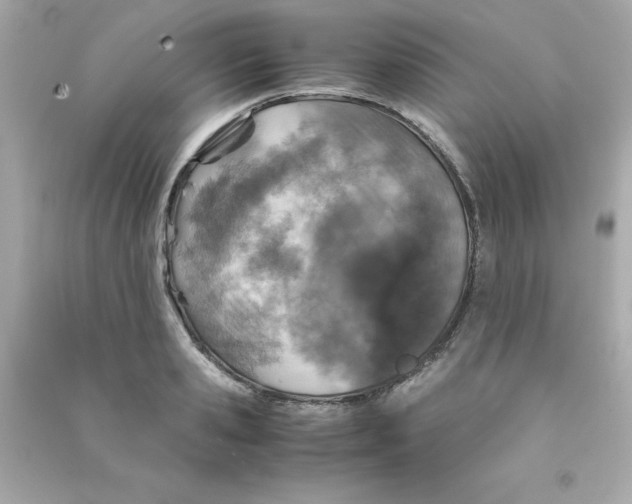 X0000090490941200708102215