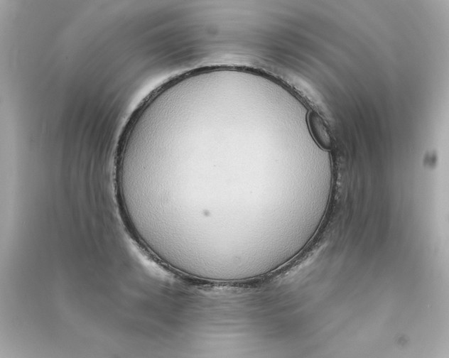 X0000090490942200708102215