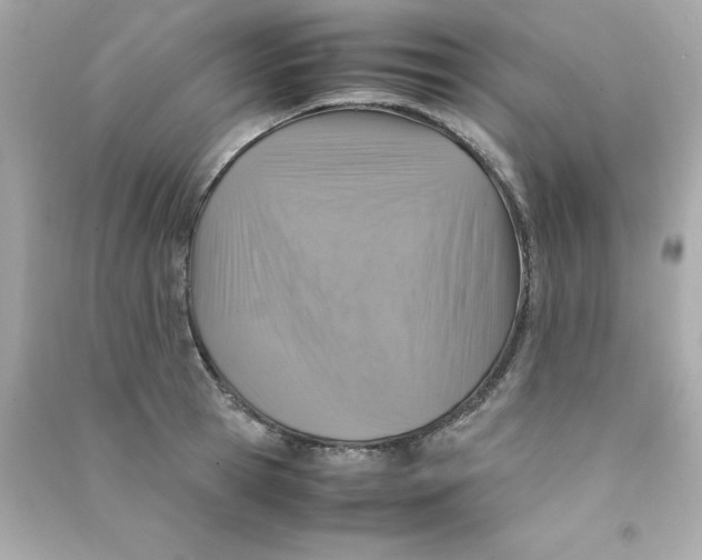 X0000090490945200708102216