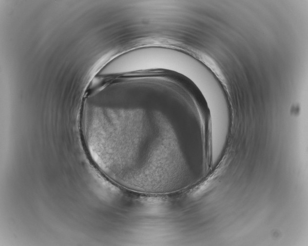 X0000090490946200708102216