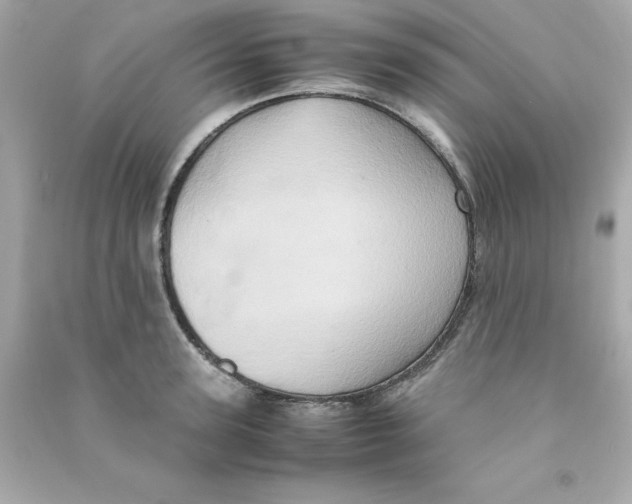 X0000090490947200708102216