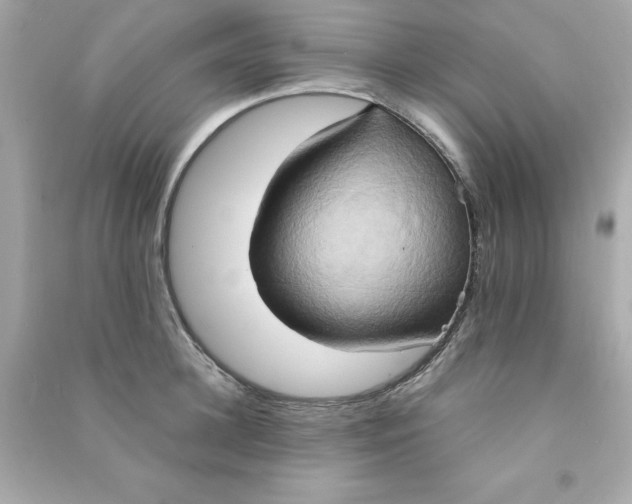 X0000090490948200708102216