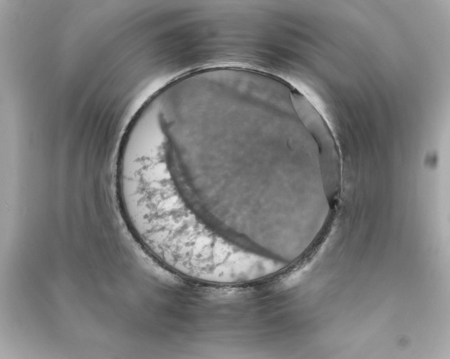 X0000090490949200708102216