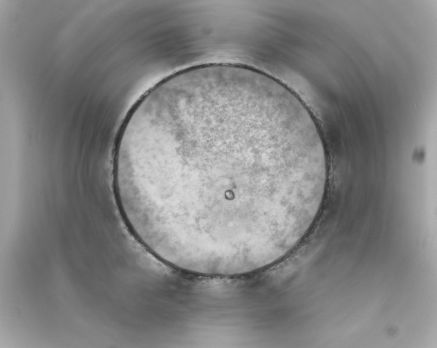 X0000090490950200708102216