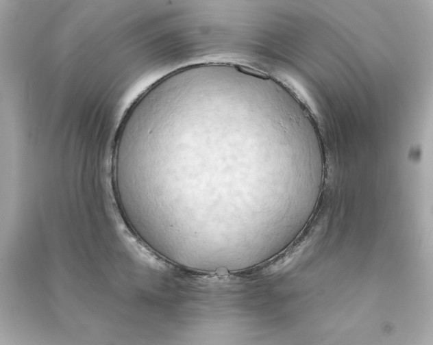 X0000090490952200708102216