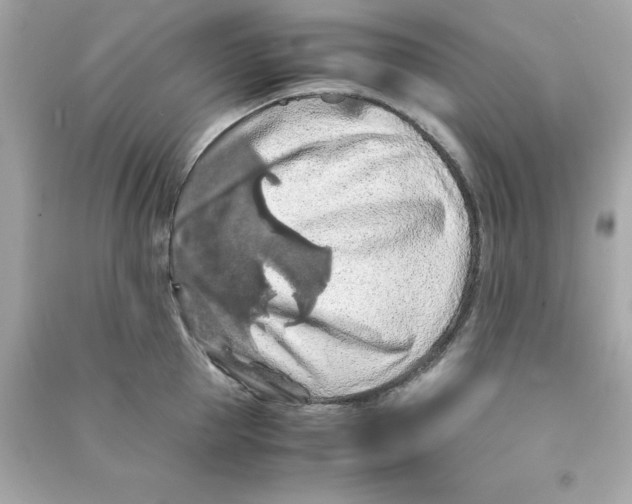 X0000090490953200708102216