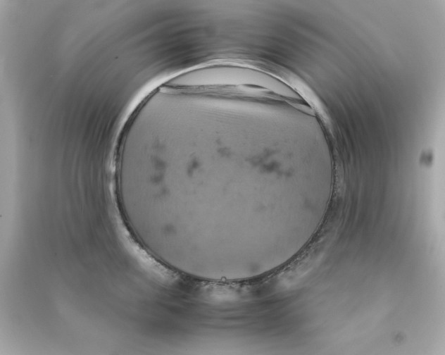 X0000090490955200708102216