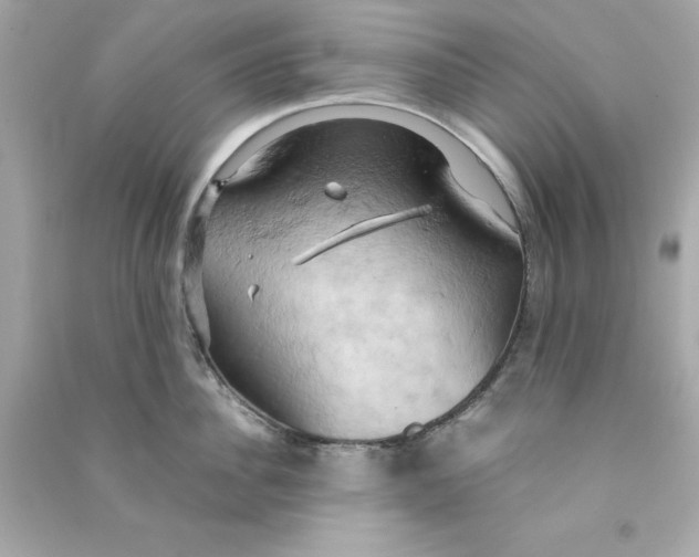 X0000090490956200708102216