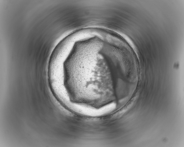 X0000090490957200708102216