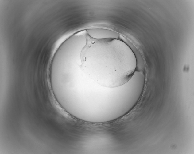 X0000090490960200708102216