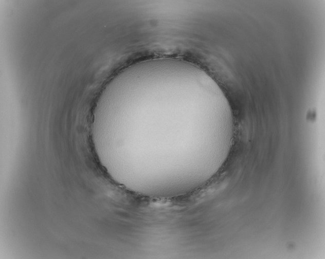 X0000090490961200708102215