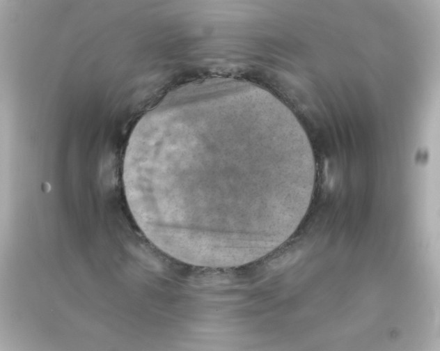 X0000090490962200708102215