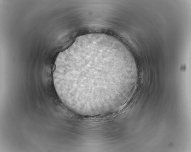 X0000090490964200708102215