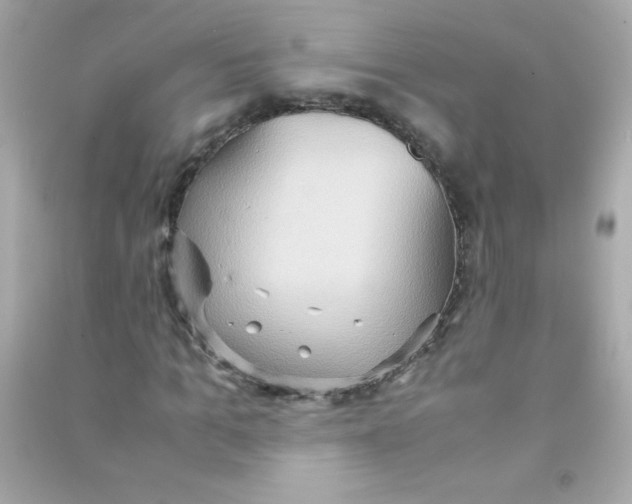 X0000090490965200708102215