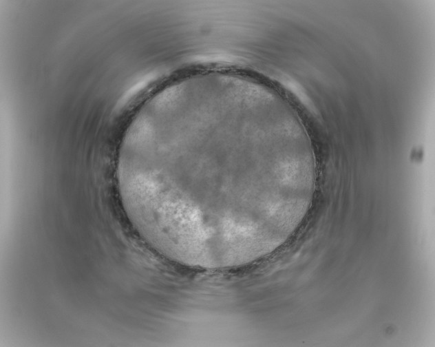 X0000090490967200708102215