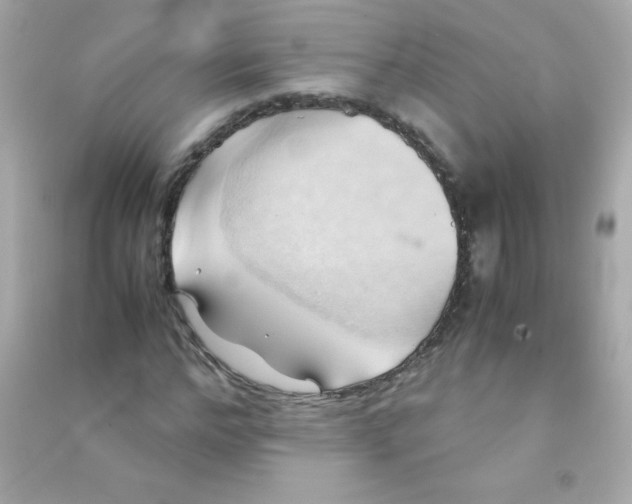 X0000090490968200708102215