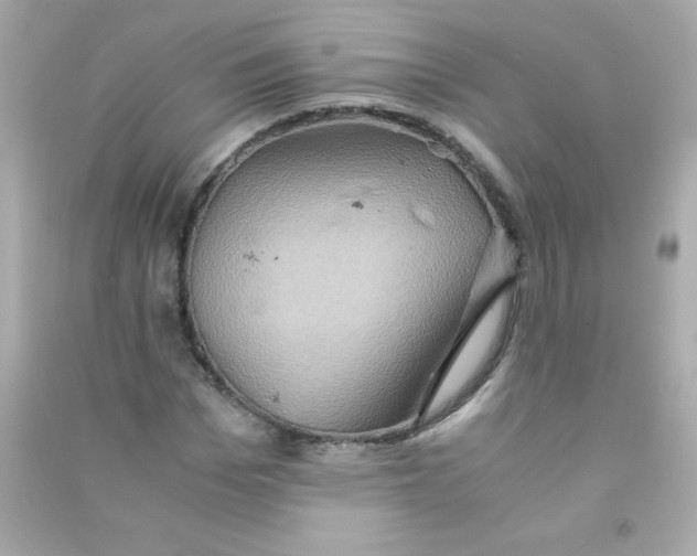 X0000090490969200708102215