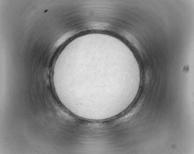 X0000090490970200708102215