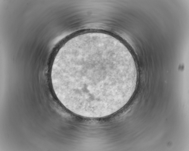 X0000090490971200708102215