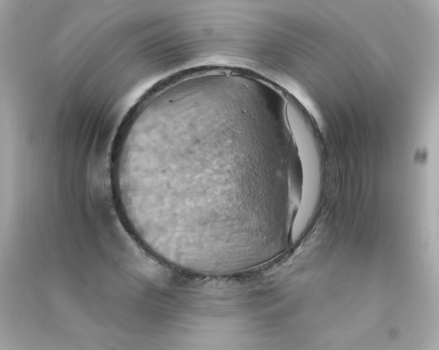 X0000090490972200708102215