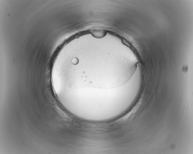 X0000090490973200708102215