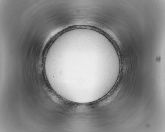 X0000090490974200708102215