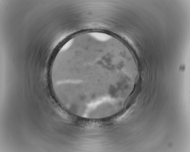 X0000090490975200708102215