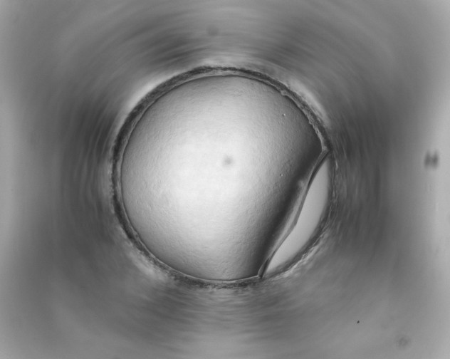 X0000090490976200708102215