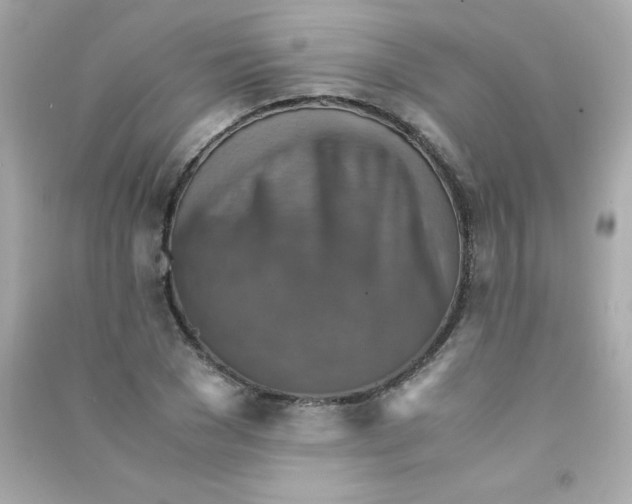 X0000090490977200708102215