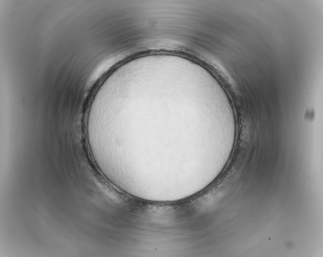 X0000090490978200708102215