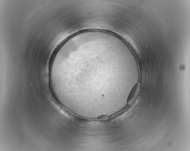 X0000090490982200708102215