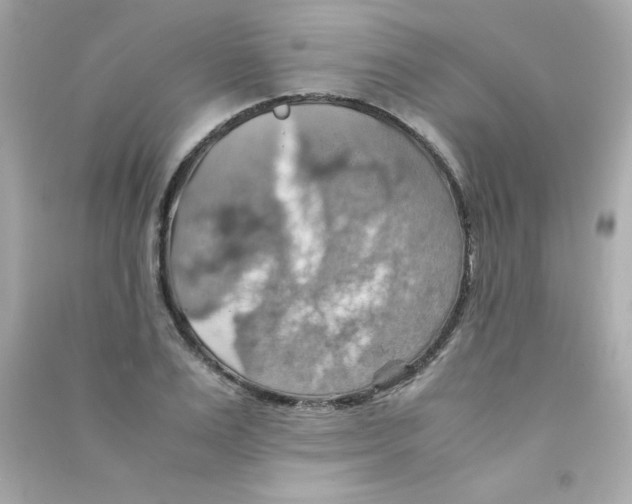 X0000090490983200708102215