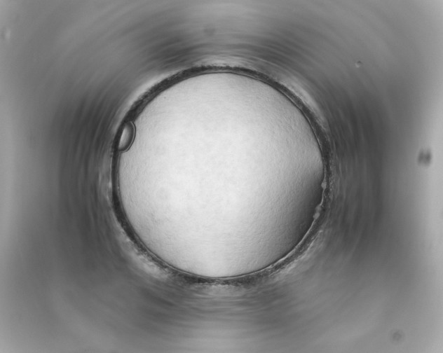 X0000090490984200708102215