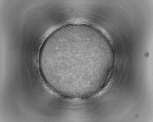 X0000090490986200708102215