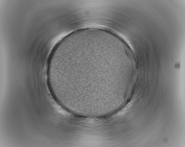 X0000090490987200708102215