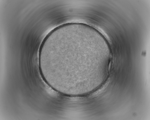 X0000090490988200708102215