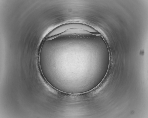 X0000090490989200708102215