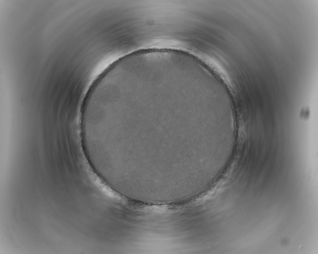 X0000090490990200708102215