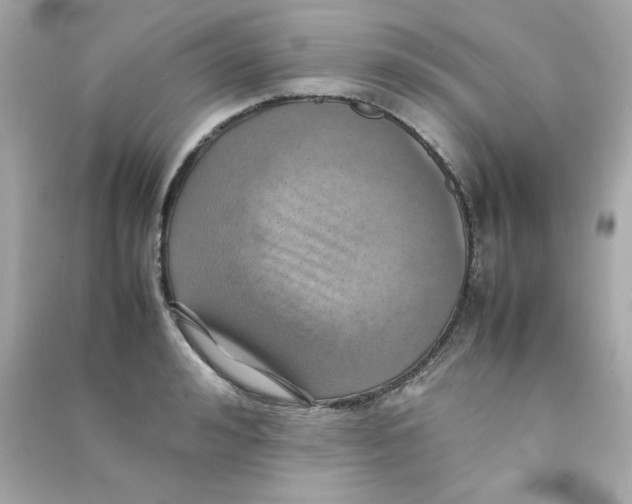 X0000090490992200708102215