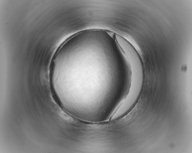 X0000090490996200708102215