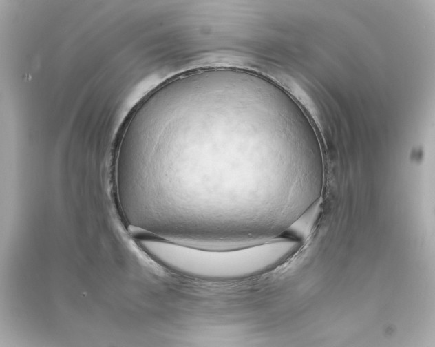 X0000090490997200708102215