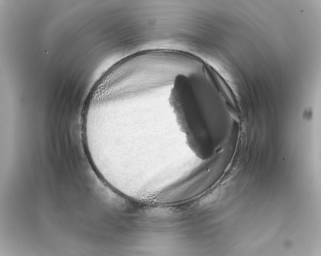 X0000090490998200708102215